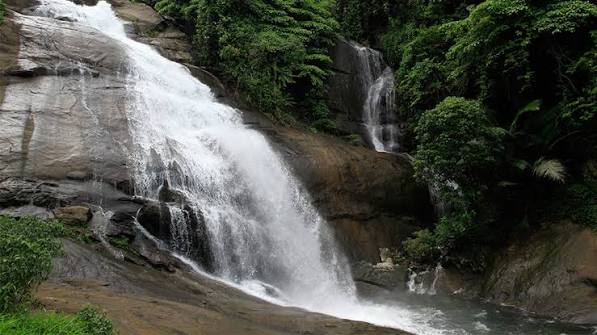 Waterfall surrounded by natural greenery